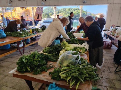 WhatsApp Image 2025-11-14 at 09.23.29.jpeg